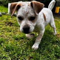 Photo of Mimzy