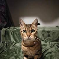 Photo of Sarah