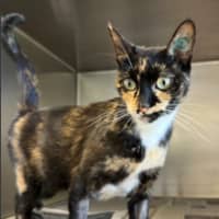 Photo of Mumma Ginge