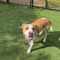 Photo of Roxy