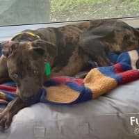 Photo of Uncle Fester