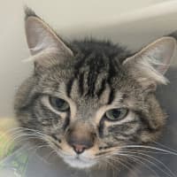 Photo of 💘 Romeo 6548 💘