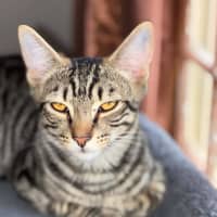 Photo of Bruce