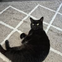 Photo of Honey