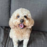 Photo of Kai 