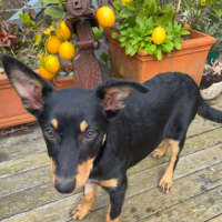 Photo of Hazel