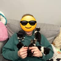 Photo of Trixie And Friends