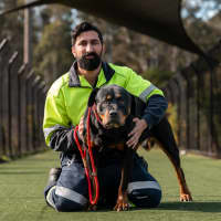 Photo of Marley Imp 1474