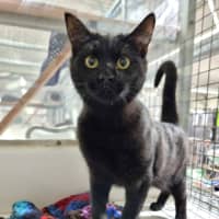 Photo of Spook