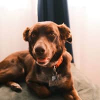 Photo of Tessa