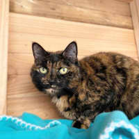 Photo of Mimi
