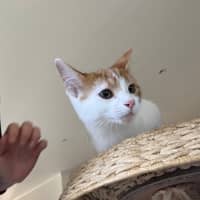 Photo of Andi Meet Me@Petstock Hastings 