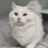 Photo of Kiki