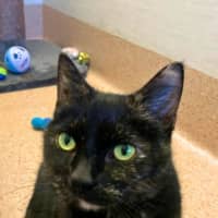 Photo of Coco