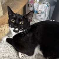 Photo of Jasper