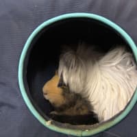 Photo of Peter & Pascal