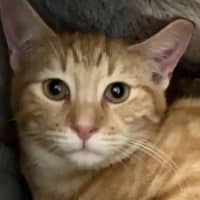 Photo of Zara And Leo