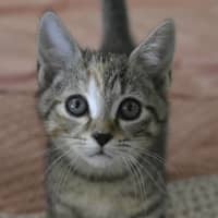 Photo of Anna