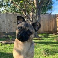 Photo of Minnie 🐭