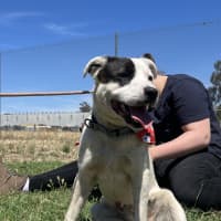 Photo of Captain Feathersword