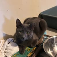 Photo of Maverick 