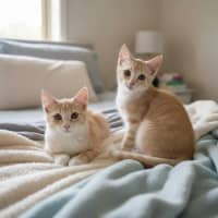 Photo of Betty And Ernie