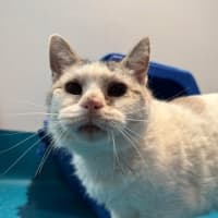 Photo of Elsa