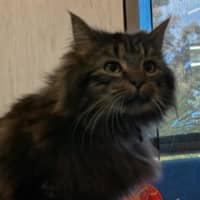 Photo of Cliff Richard