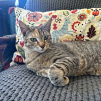 Photo of Anna