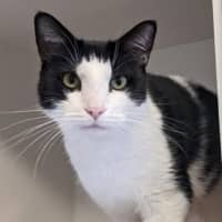 Photo of Albert