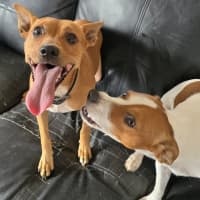 Photo of Trixie And Kayla