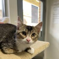 Photo of 🍤 Finkle 5898 🍤