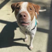 Photo of Slater