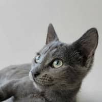 Photo of Tobias
