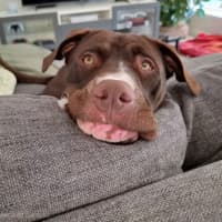 Photo of Molly