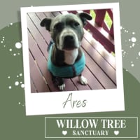 Photo of Ares