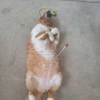 Photo of 😻 Eugene (Gene) 