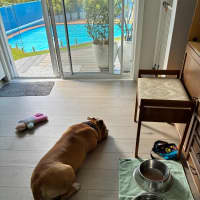 Photo of Coco