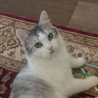 Photo of Hattie