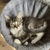 Photo of Jinx