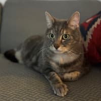 Photo of Alf