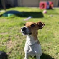 Photo of Chevy