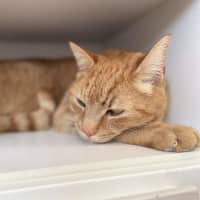 Photo of Gerry
