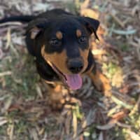 Photo of Frankie Sinatra