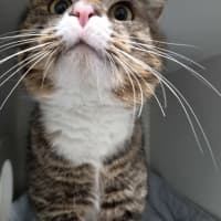 Photo of Alvin