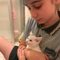 Photo of Brindabella