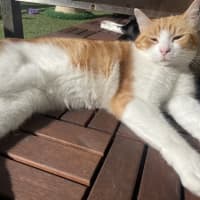 Photo of Fred