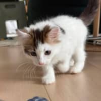 Photo of Milly