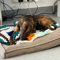 Photo of Toohey! 🍻