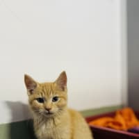 Photo of Gabriel